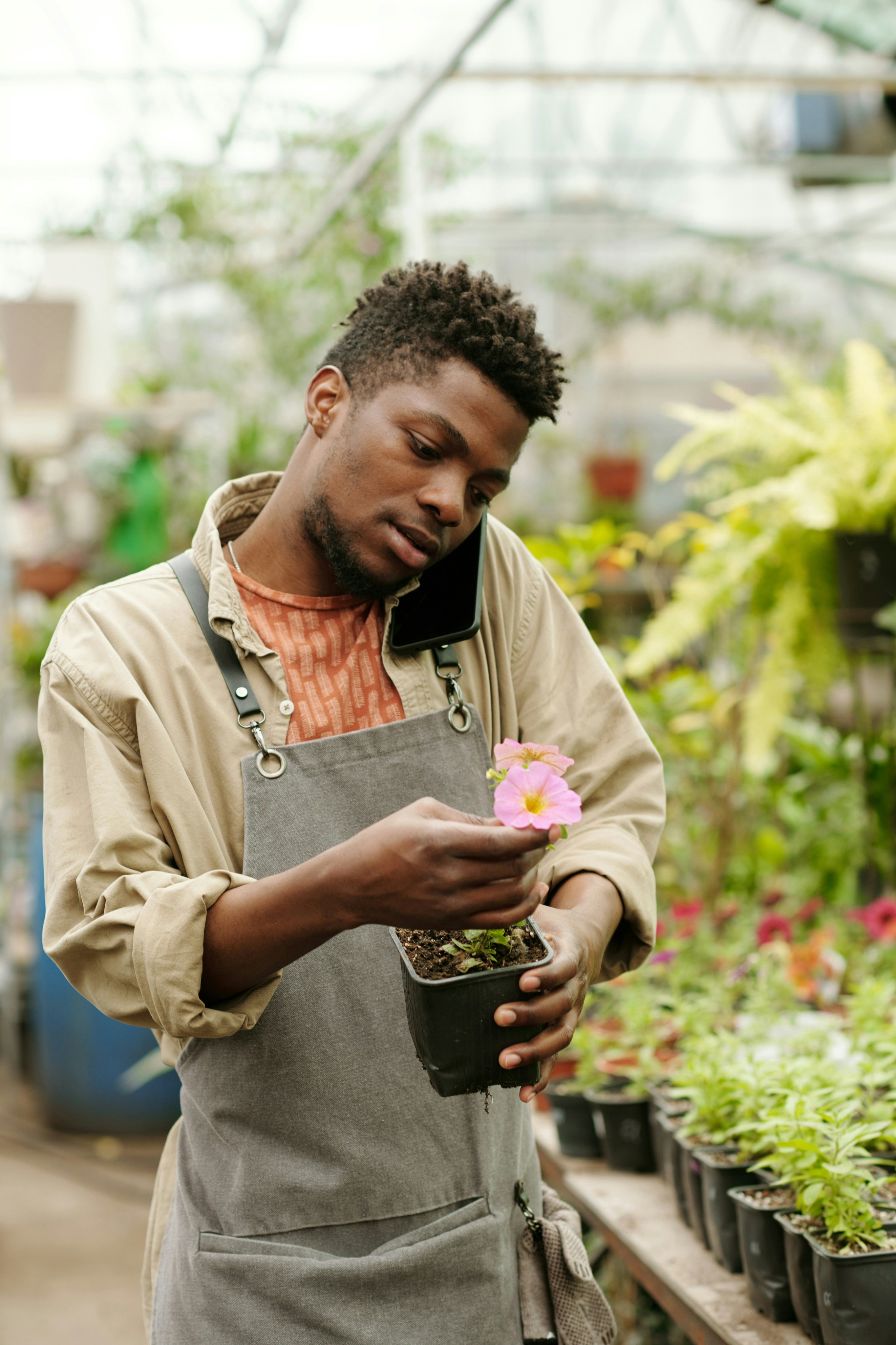 man-holding-a-pink-flower