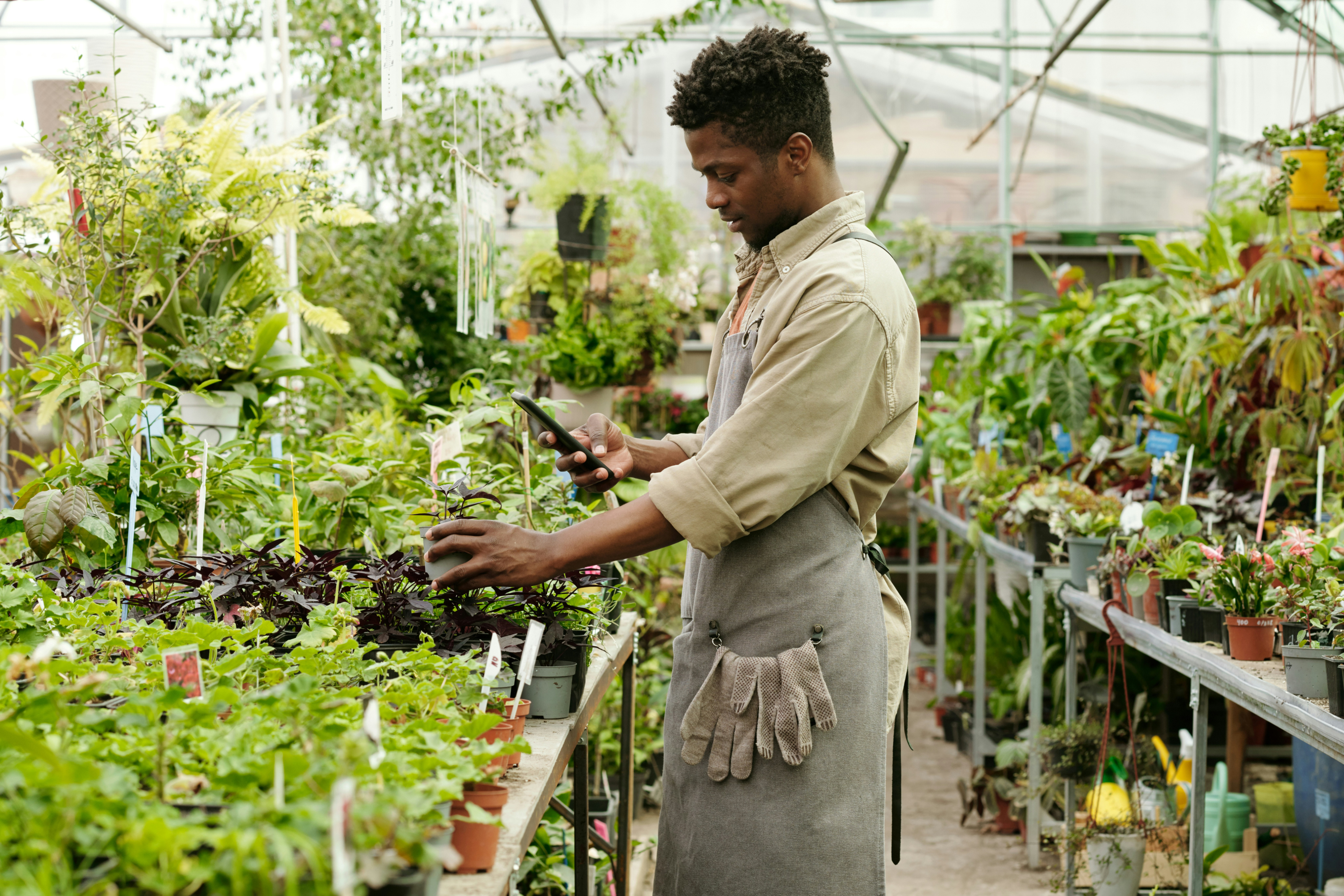 man-taking-a-picture-of-a-flower-with-his-cell-phone