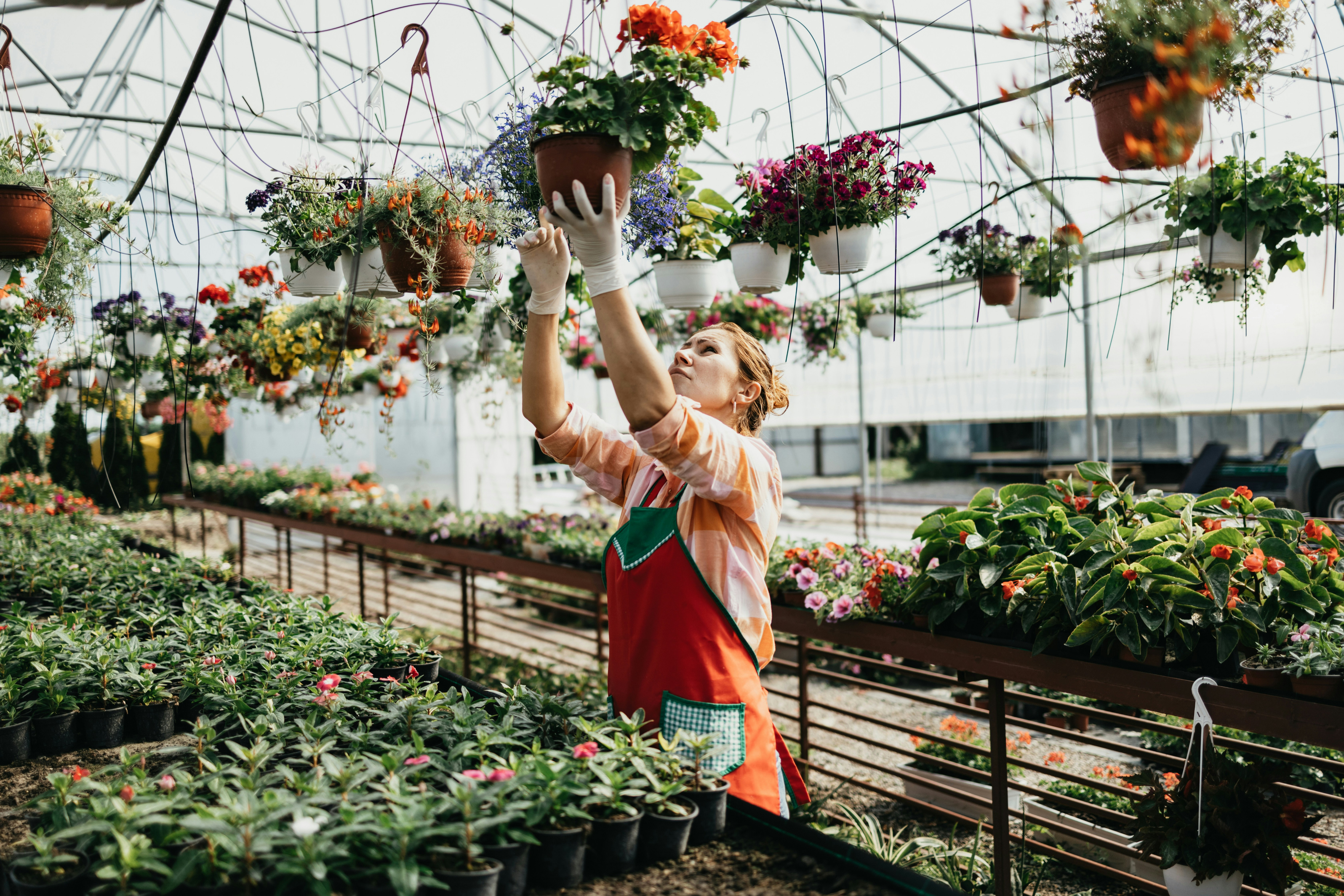 woman-taking-care-of-a-raised-flower