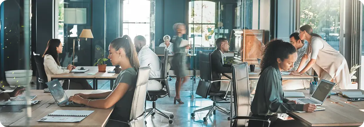 about-banner about-banner